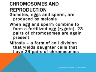 CHROMOSOMES AND REPRODUCTION Gametes, eggs and sperm, are produced by meiosis  When egg and sperm combine to form a fertilized egg (zygote), 23 pairs of chromosomes are again present Mitosis – a form of cell division that yields daughter cells that have 23 pairs of chromosomes COPYRIGHT © 2007 BY ALLYN AND BACON 