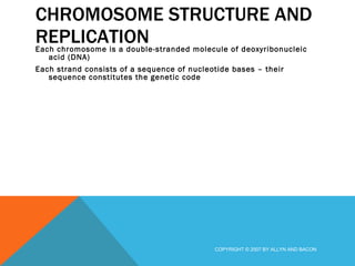 CHROMOSOME STRUCTURE AND REPLICATION Each chromosome is a double-stranded molecule of deoxyribonucleic acid (DNA) Each strand consists of a sequence of nucleotide bases – their sequence constitutes the genetic code  COPYRIGHT © 2007 BY ALLYN AND BACON 