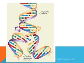 COPYRIGHT © 2007 BY ALLYN AND BACON 