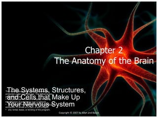 Chapter 2 The Anatomy of the Brain The Systems, Structures, and Cells that Make Up Your Nervous System Copyright © 2007 by Allyn and Bacon ,[object Object],[object Object],[object Object],[object Object]