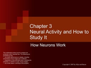 Chapter 3 Neural Activity and How to Study It How Neurons Work ,[object Object],[object Object],[object Object],[object Object]