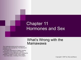 Chapter 11 Hormones and Sex What’s Wrong with the Mamawawa ,[object Object],[object Object],[object Object],[object Object]