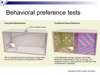 Behavioral preference tests 