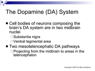 The Dopamine (DA) System Cell bodies of neurons composing the brain’s DA system are in two midbrain nuclei Substantia nigra Ventral tegmental area Two mesotelencephalic DA pathways Projecting from the midbrain to areas in the telencephalon 