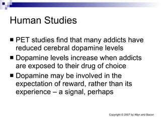 Human Studies PET studies find that many addicts have reduced cerebral dopamine levels Dopamine levels increase when addicts are exposed to their drug of choice Dopamine may be involved in the expectation of reward, rather than its experience – a signal, perhaps 