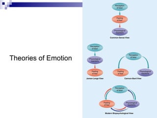 Theories of Emotion 