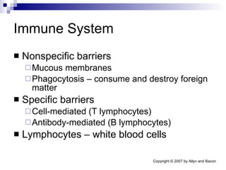 Immune System Nonspecific barriers Mucous membranes Phagocytosis – consume and destroy foreign matter Specific barriers Cell-mediated (T lymphocytes) Antibody-mediated (B lymphocytes) Lymphocytes – white blood cells 