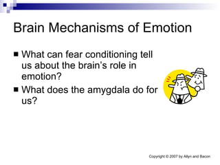 Brain Mechanisms of Emotion What can fear conditioning tell us about the brain’s role in emotion? What does the amygdala do for us? 