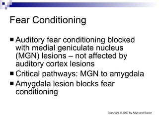 Fear Conditioning Auditory fear conditioning blocked with medial geniculate nucleus (MGN) lesions – not affected by auditory cortex lesions Critical pathways: MGN to amygdala Amygdala lesion blocks fear conditioning 
