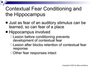Contextual Fear Conditioning and the Hippocampus Just as fear of an auditory stimulus can be learned, so can fear of a place Hippocampus involved Lesion before conditioning prevents development of contextual fear Lesion after blocks retention of contextual fear response Other fear responses intact 