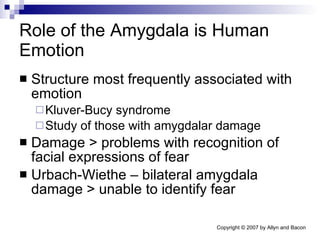 Role of the Amygdala is Human Emotion Structure most frequently associated with emotion Kluver-Bucy syndrome Study of those with amygdalar damage Damage > problems with recognition of facial expressions of fear Urbach-Wiethe – bilateral amygdala damage > unable to identify fear 