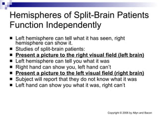 Hemispheres of Split-Brain Patients Function Independently Left hemisphere can tell what it has seen, right hemisphere can show it.  Studies of split-brain patients: Present a picture to the right visual field (left brain) Left hemisphere can tell you what it was Right hand can show you, left hand can’t Present a picture to the left visual field (right brain) Subject will report that they do not know what it was Left hand can show you what it was, right can’t 