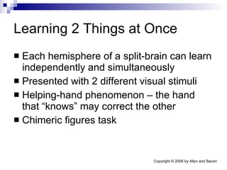 Learning 2 Things at Once Each hemisphere of a split-brain can learn independently and simultaneously Presented with 2 different visual stimuli Helping-hand phenomenon – the hand that “knows” may correct the other Chimeric figures task 