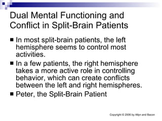 Dual Mental Functioning and Conflict in Split-Brain Patients In most split-brain patients, the left hemisphere seems to control most activities. In a few patients, the right hemisphere takes a more active role in controlling behavior, which can create conflicts between the left and right hemispheres. Peter, the Split-Brain Patient 