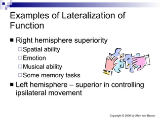 Examples of Lateralization of Function Right hemisphere superiority Spatial ability Emotion Musical ability Some memory tasks Left hemisphere – superior in controlling ipsilateral movement  