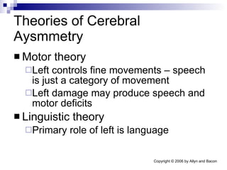 Theories of Cerebral Aysmmetry Motor theory Left controls fine movements – speech is just a category of movement Left damage may produce speech and motor deficits Linguistic theory Primary role of left is language 