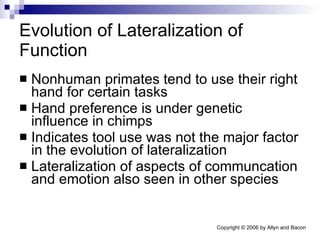 Evolution of Lateralization of Function Nonhuman primates tend to use their right hand for certain tasks Hand preference is under genetic influence in chimps Indicates tool use was not the major factor in the evolution of lateralization Lateralization of aspects of communcation and emotion also seen in other species 