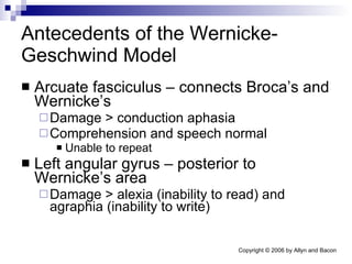 Antecedents of the Wernicke-Geschwind Model Arcuate fasciculus – connects Broca’s and Wernicke’s Damage > conduction aphasia Comprehension and speech normal Unable to repeat Left angular gyrus – posterior to Wernicke’s area Damage > alexia (inability to read) and agraphia (inability to write) 