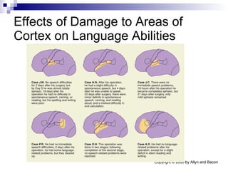 Effects of Damage to Areas of Cortex on Language Abilities 
