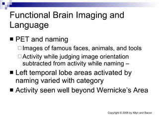 Functional Brain Imaging and Language PET and naming Images of famous faces, animals, and tools Activity while judging image orientation subtracted from activity while naming –  Left temporal lobe areas activated by naming varied with category Activity seen well beyond Wernicke’s Area 
