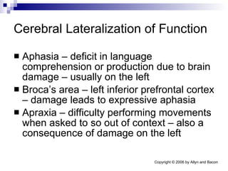Cerebral Lateralization of Function Aphasia – deficit in language comprehension or production due to brain damage – usually on the left Broca’s area – left inferior prefrontal cortex – damage leads to expressive aphasia Apraxia – difficulty performing movements when asked to so out of context – also a consequence of damage on the left 