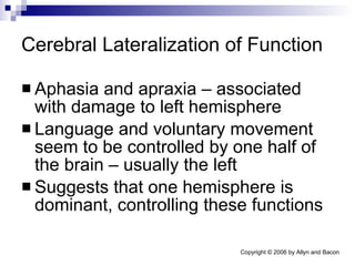 Cerebral Lateralization of Function Aphasia and apraxia – associated with damage to left hemisphere Language and voluntary movement seem to be controlled by one half of the brain – usually the left Suggests that one hemisphere is dominant, controlling these functions 