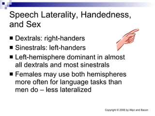 Speech Laterality, Handedness, and Sex Dextrals: right-handers Sinestrals: left-handers Left-hemisphere dominant in almost all dextrals and most sinestrals Females may use both hemispheres more often for language tasks than men do – less lateralized 