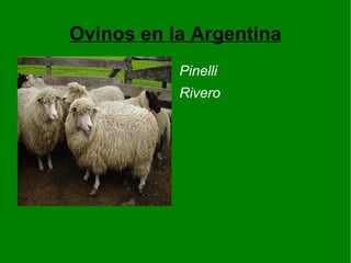 Ovinos en la Argentina ,[object Object]