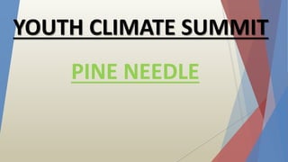 PINE NEEDLE
YOUTH CLIMATE SUMMIT
 