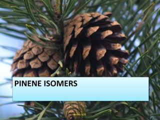 PINENE ISOMERS
11/24/2017 11RABIA AZIZ
 