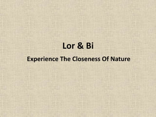 Lor & Bi
Experience The Closeness Of Nature
 