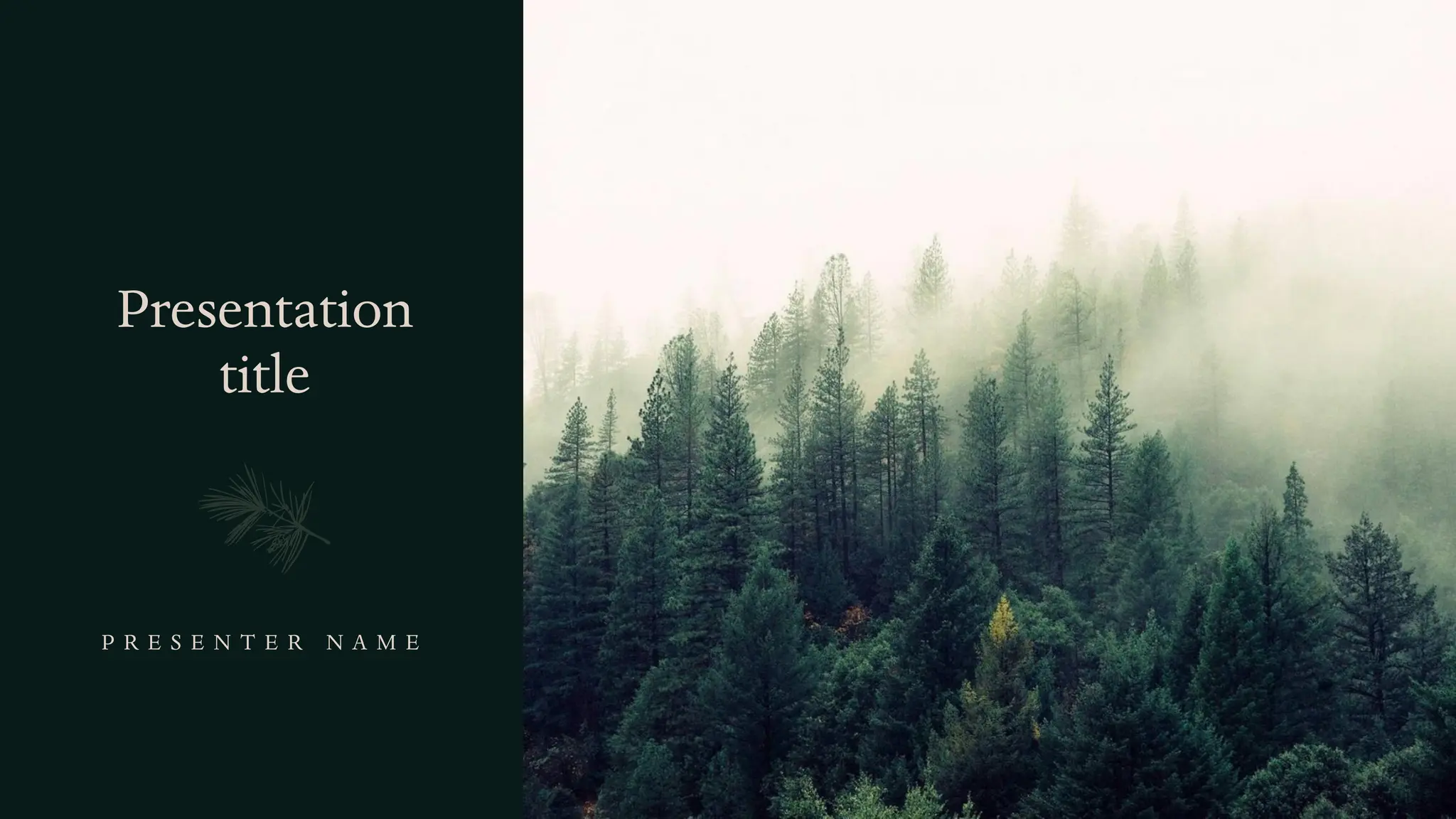 Presentation
title
P R E S E N T E R N A M E