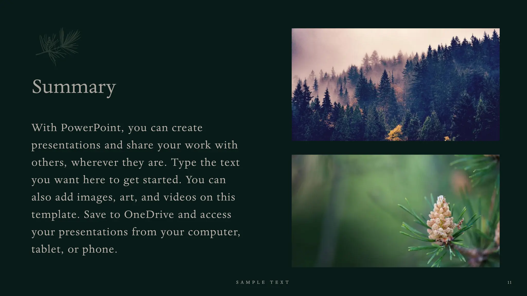 Pine products design for science Pine products design for science