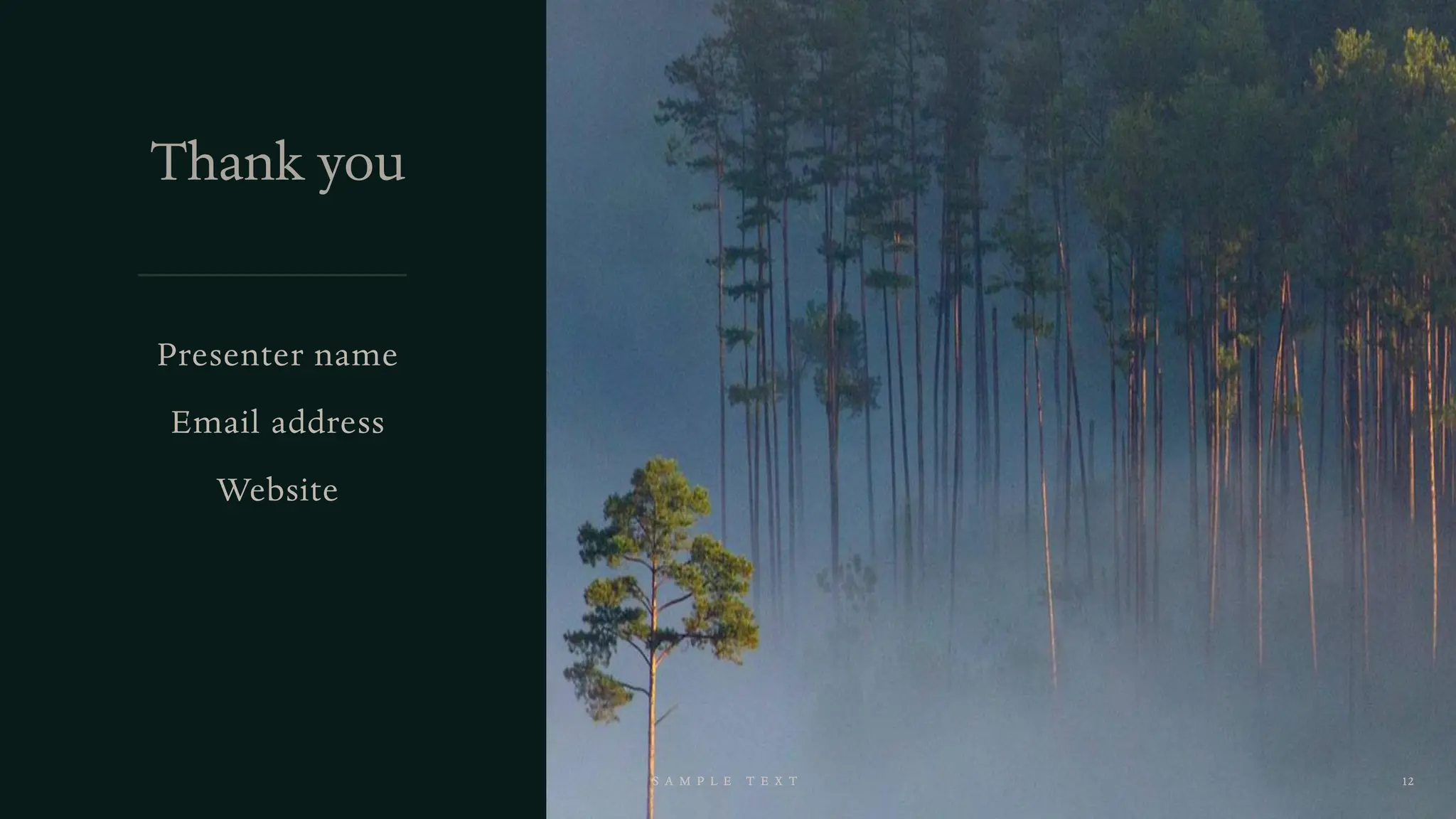 Pine products design for science Pine products design for science