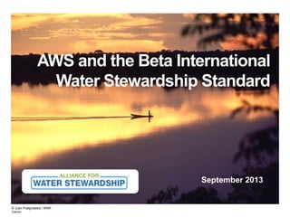 AWS and the Beta International
Water Stewardship Standard

September 2013

© Juan Pratginestos / WWFCanon

 
