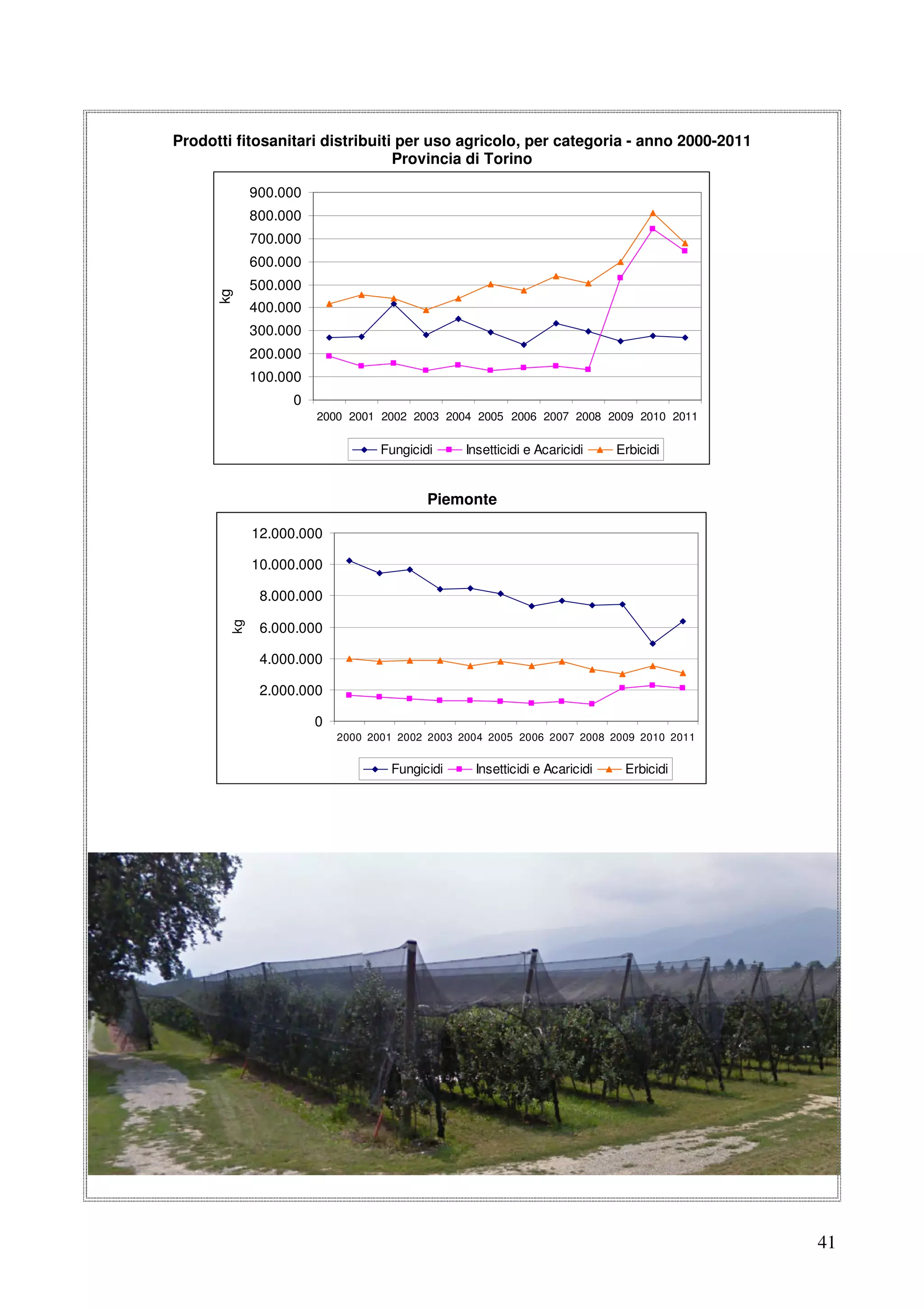 Prodotti fitosanitari distribuiti per uso agricolo, per categoria - anno 2000-2011
Provincia di Torino
900.000
800.000
700.000

kg

600.000
500.000
400.000
300.000
200.000
100.000
0
2000 2001 2002 2003 2004 2005 2006 2007 2008 2009 2010 2011

Fungicidi

Insetticidi e Acaricidi

Erbicidi

Piemonte
12.000.000
10.000.000

kg

8.000.000
6.000.000
4.000.000
2.000.000
0
2000 2001 2002 2003 2004 2005 2006 2007 2008 2009 2010 2011

Fungicidi

Insetticidi e Acaricidi

Erbicidi

41

 