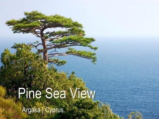 Pine Sea View
Argaka | Cyprus
 