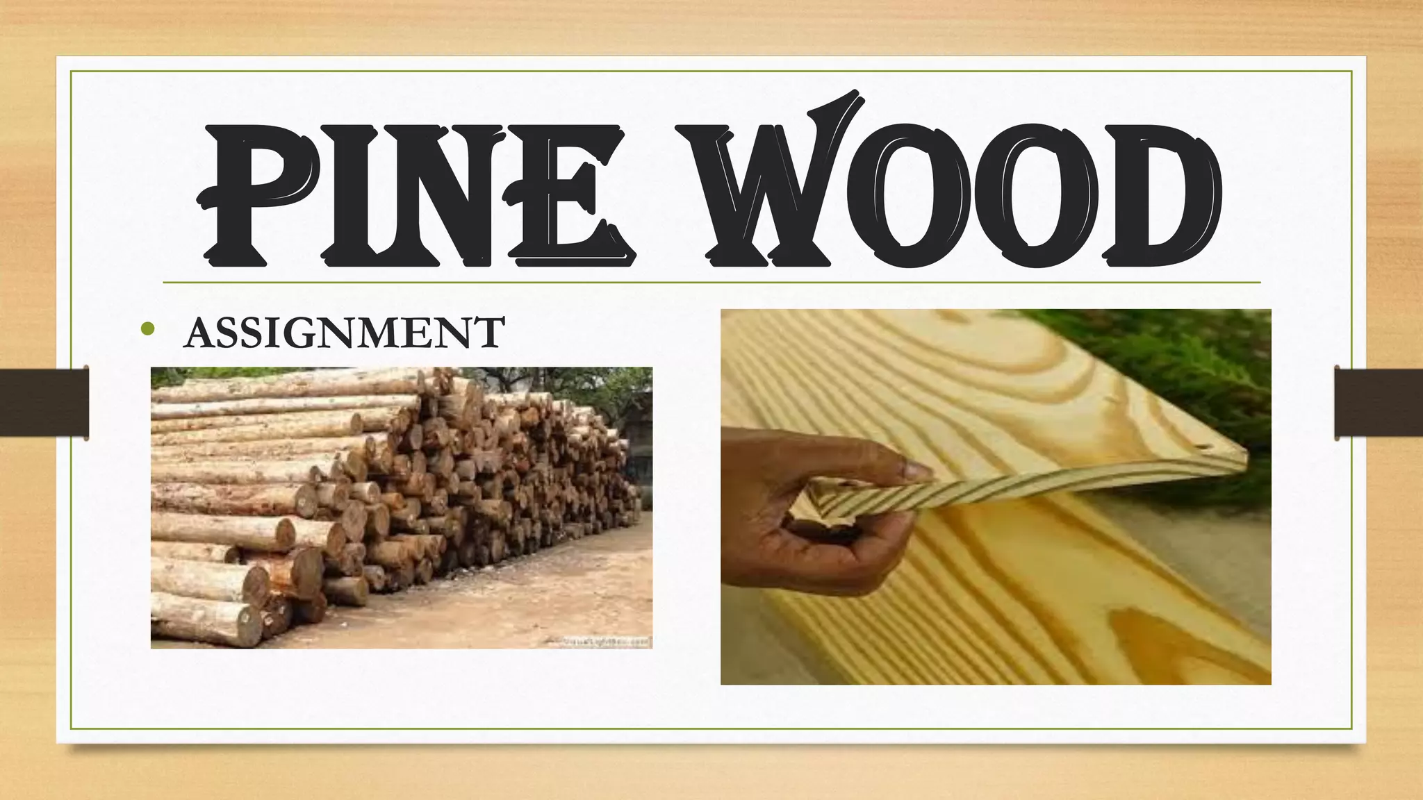 Wood Assignment PINE WOOD.pdf