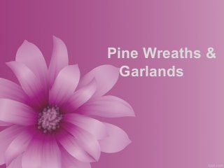 Pine Wreaths &
Garlands
 