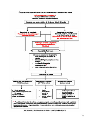 P Influenza Consulta Final