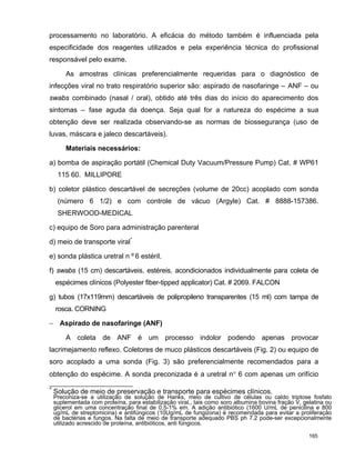 P Influenza Consulta Final