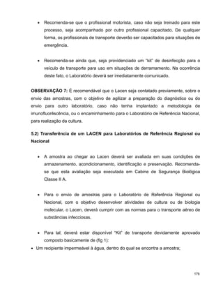 P Influenza Consulta Final