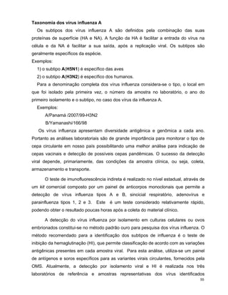 P Influenza Consulta Final