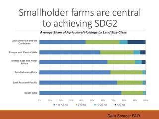 ICRISAT Global Planning Meeting 2019: Food Systems Futures & the SDGs: Can we get to zero hunger & rural prosperity by 2030 by Prabhu Pingali