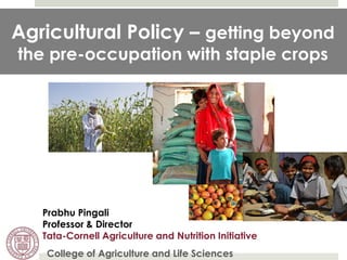 Agricultural Policy – getting beyond the pre-occupation with staple crops 
College of Agriculture and Life Sciences 
Prabhu Pingali Professor & Director Tata-Cornell Agriculture and Nutrition Initiative  
