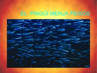 EL PINGÜÍ MENJA PEIXOS
 