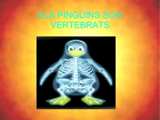 ELS PINGÜINS SON
  VERTEBRATS
 