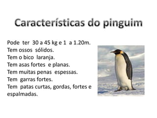 Pode ter 30 a 45 kg e 1 a 1.20m.
Tem ossos sólidos.
Tem o bico laranja.
Tem asas fortes e planas.
Tem muitas penas espessas.
Tem garras fortes.
Tem patas curtas, gordas, fortes e
espalmadas.
 