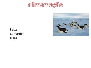 Peixe
Camarões
Lulas
 