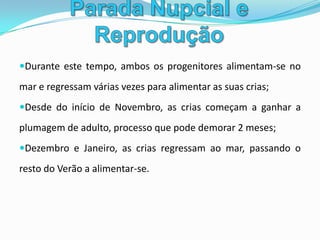 Vida na ÁguaNa água, fazem sempre muito barulho e andam sempre em grandes grupos;Flutuam, facilmente graças à grande quantidade de gordura;Nadam com muita rapidez;São capazes de se deslocar a uma velocidade de 40 km/h.